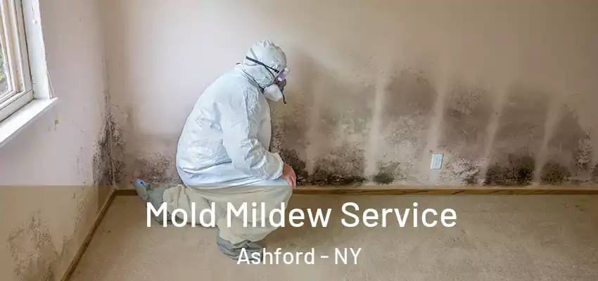  Mold Mildew Service Ashford - NY