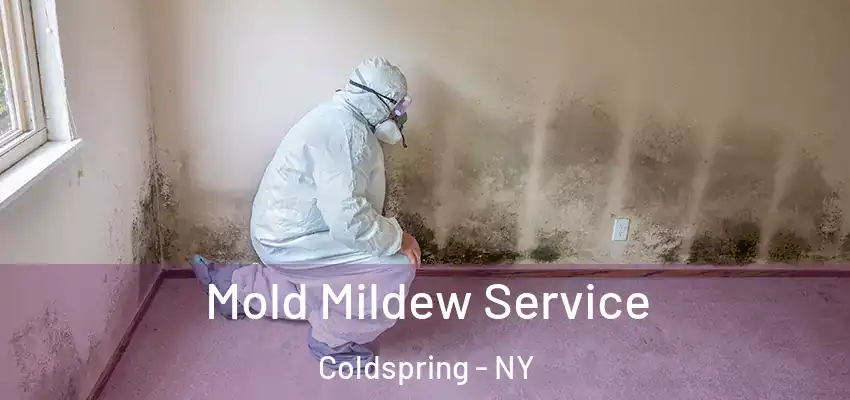  Mold Mildew Service Coldspring - NY
