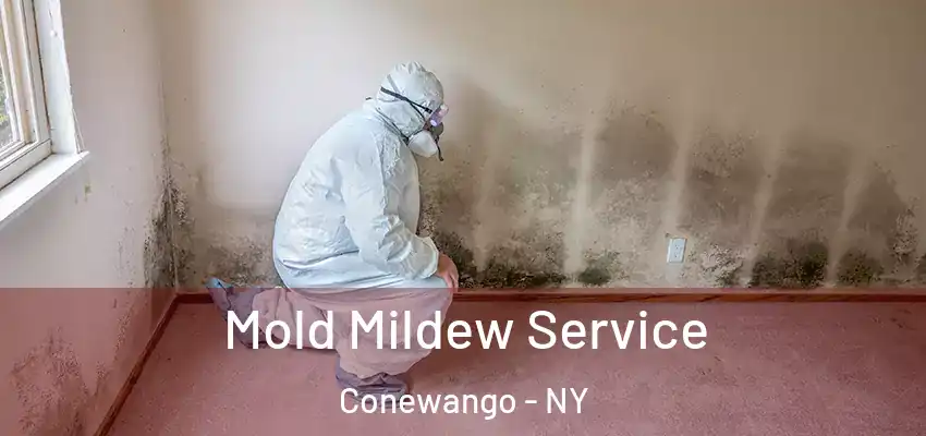  Mold Mildew Service Conewango - NY