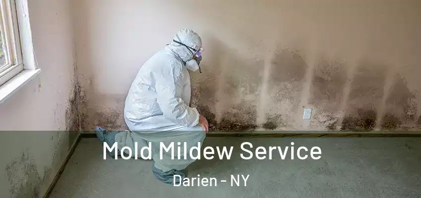  Mold Mildew Service Darien - NY