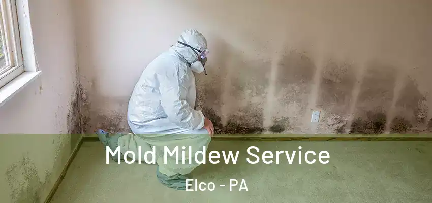 Mold Mildew Service Elco - PA