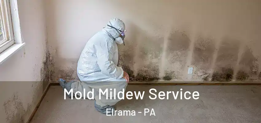  Mold Mildew Service Elrama - PA