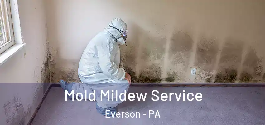  Mold Mildew Service Everson - PA