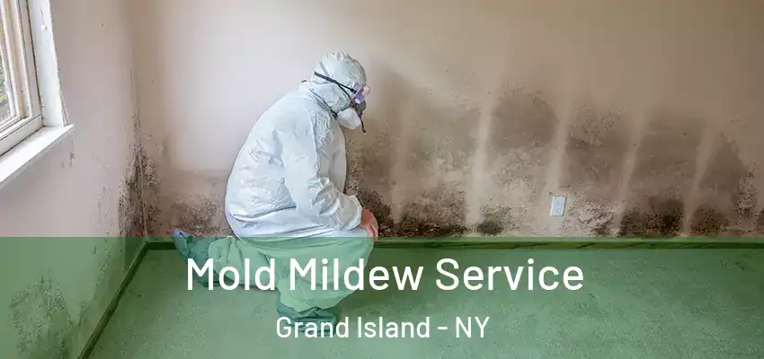  Mold Mildew Service Grand Island - NY