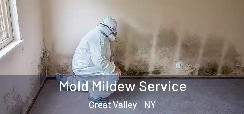  Mold Mildew Service Great Valley - NY