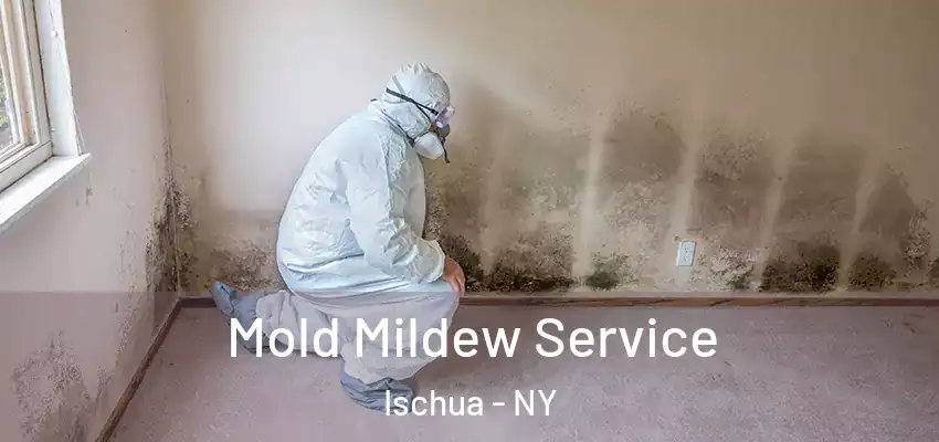  Mold Mildew Service Ischua - NY