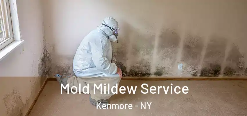  Mold Mildew Service Kenmore - NY
