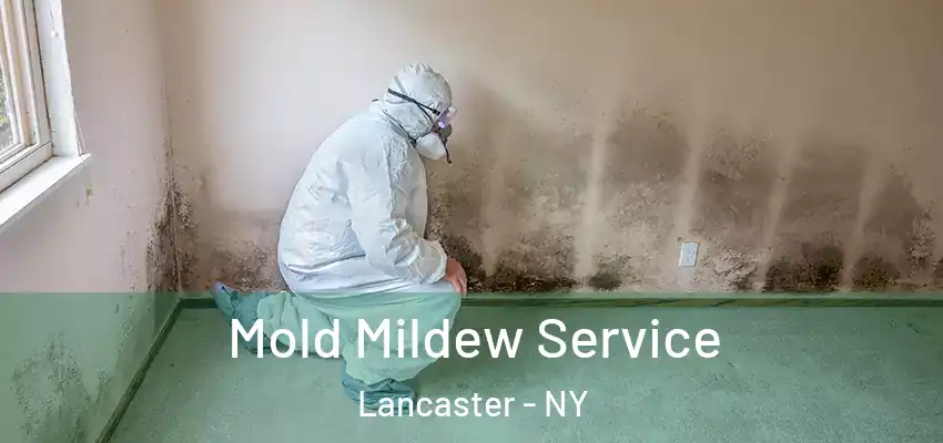  Mold Mildew Service Lancaster - NY