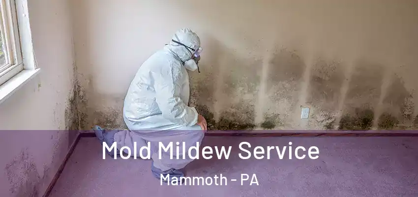  Mold Mildew Service Mammoth - PA