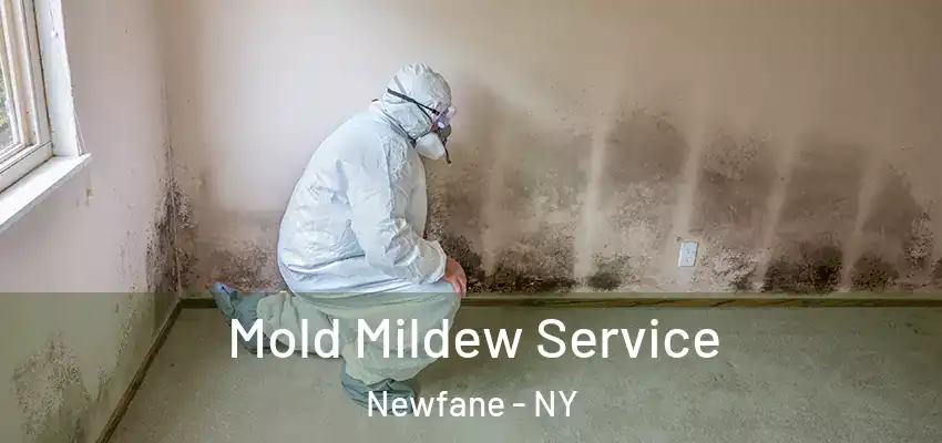  Mold Mildew Service Newfane - NY