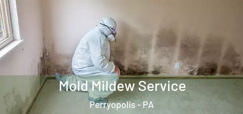  Mold Mildew Service Perryopolis - PA