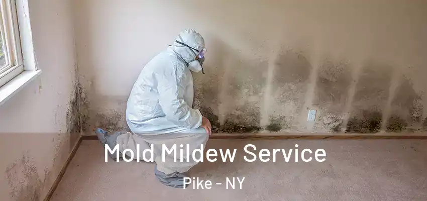  Mold Mildew Service Pike - NY