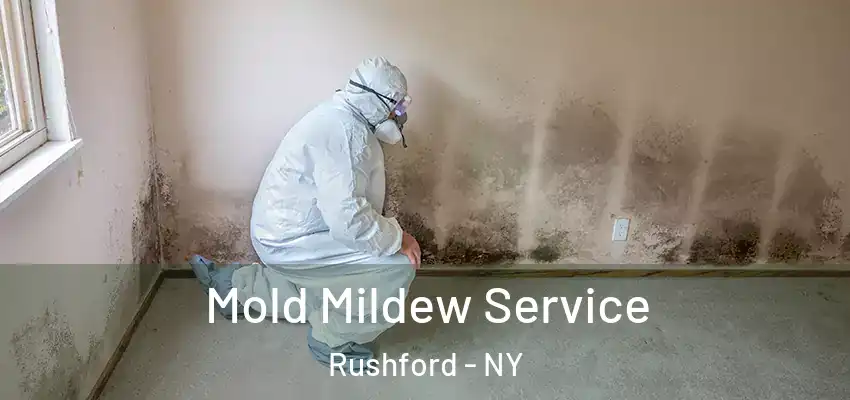  Mold Mildew Service Rushford - NY
