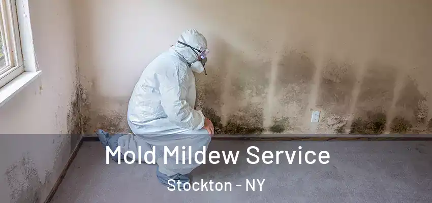  Mold Mildew Service Stockton - NY