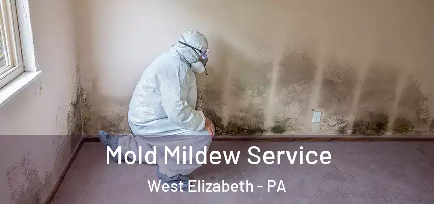  Mold Mildew Service West Elizabeth - PA