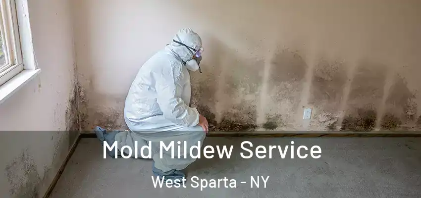  Mold Mildew Service West Sparta - NY