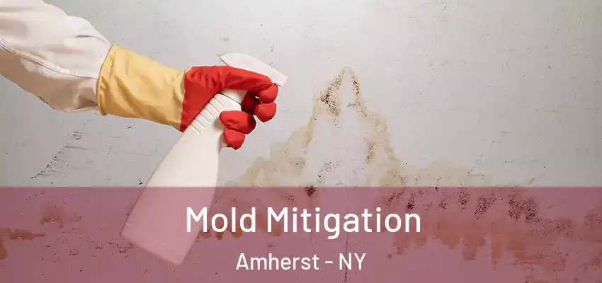  Mold Mitigation Amherst - NY