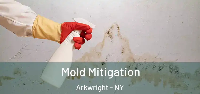  Mold Mitigation Arkwright - NY