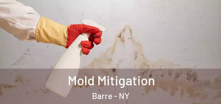  Mold Mitigation Barre - NY