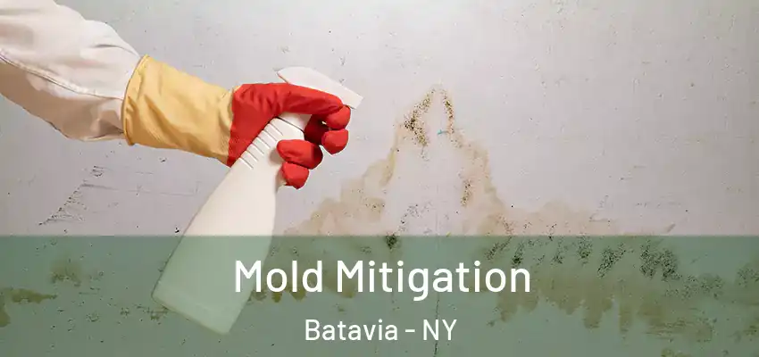  Mold Mitigation Batavia - NY