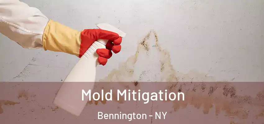  Mold Mitigation Bennington - NY
