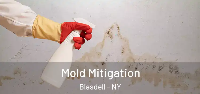  Mold Mitigation Blasdell - NY