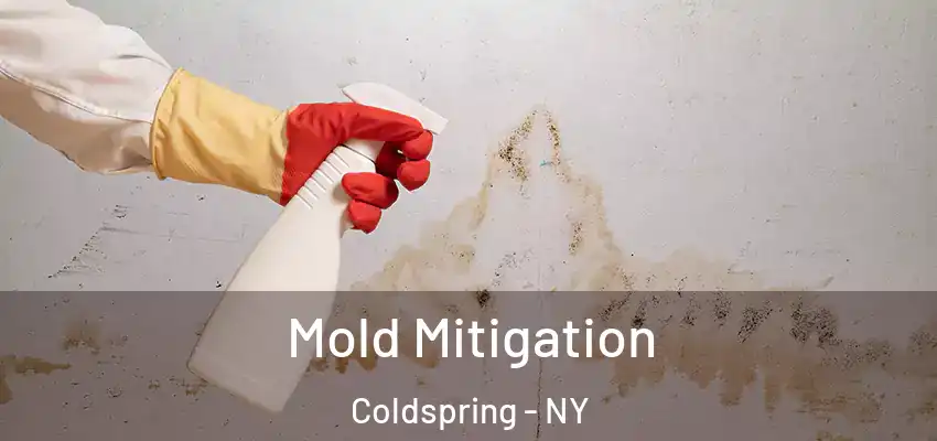  Mold Mitigation Coldspring - NY