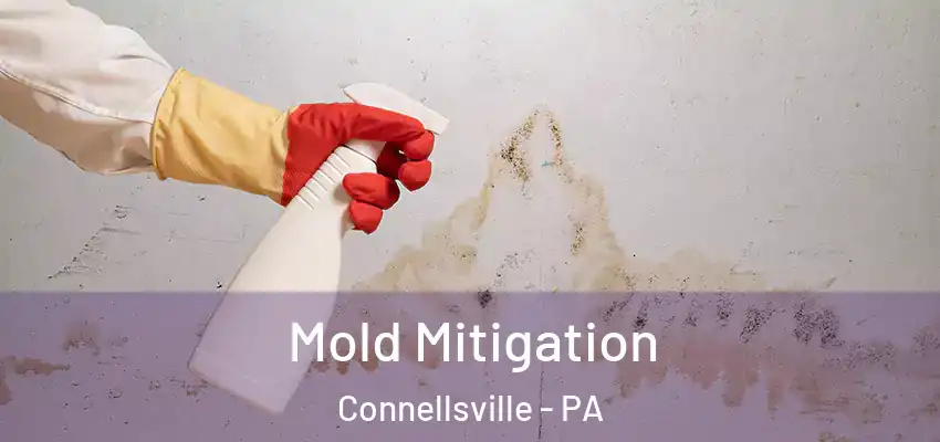  Mold Mitigation Connellsville - PA