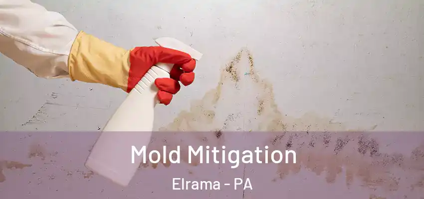  Mold Mitigation Elrama - PA