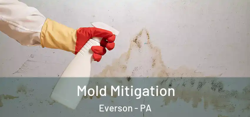  Mold Mitigation Everson - PA