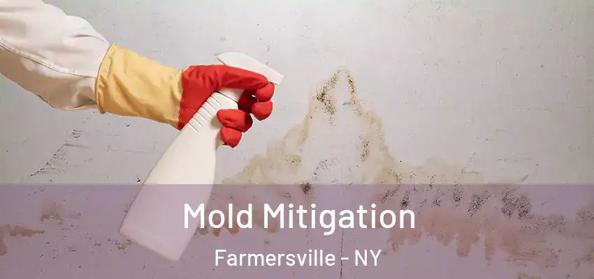  Mold Mitigation Farmersville - NY