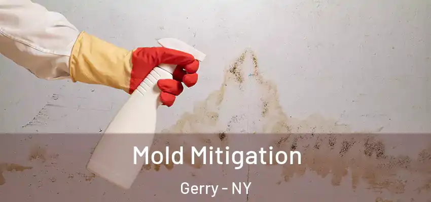  Mold Mitigation Gerry - NY