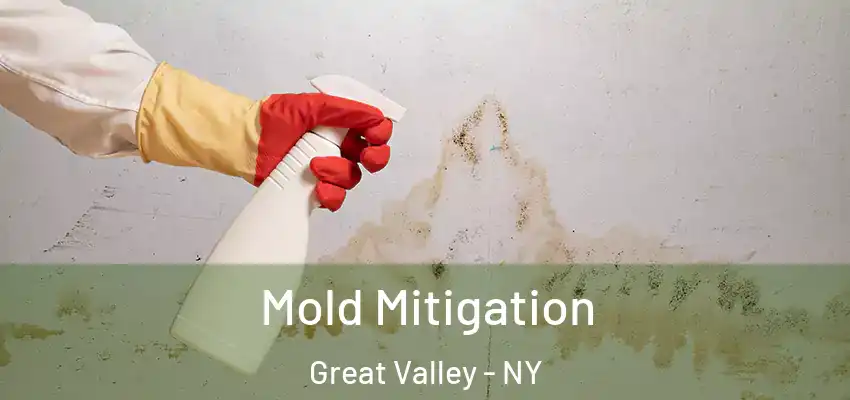  Mold Mitigation Great Valley - NY
