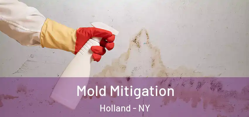  Mold Mitigation Holland - NY