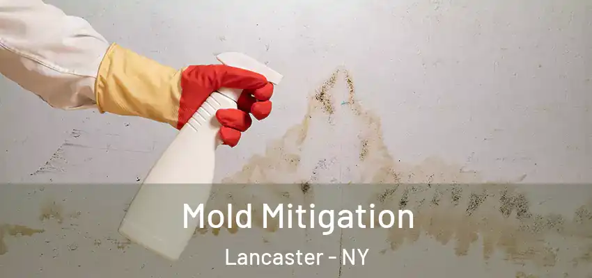  Mold Mitigation Lancaster - NY