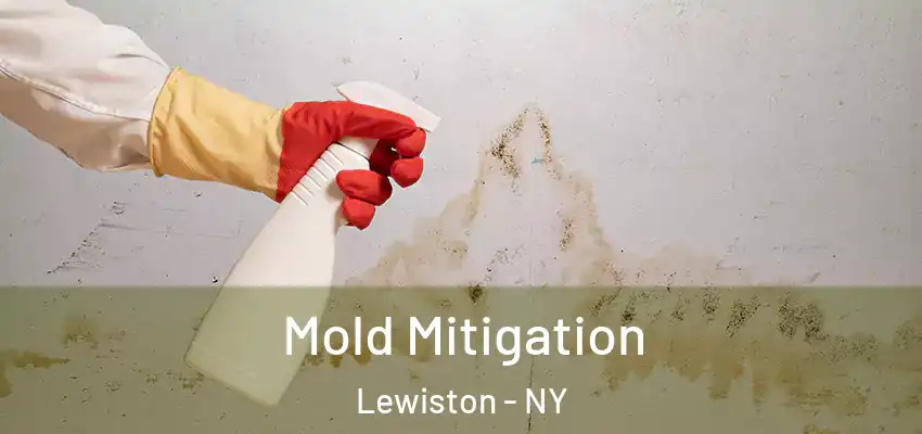 Mold Mitigation Lewiston - NY