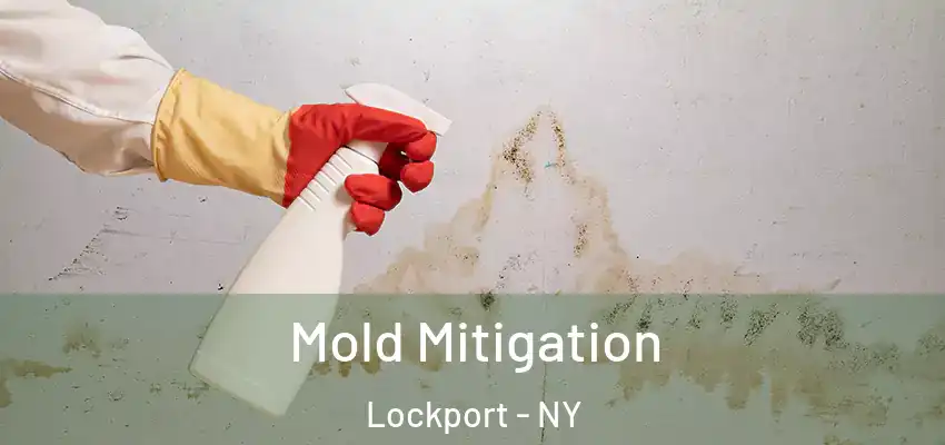  Mold Mitigation Lockport - NY