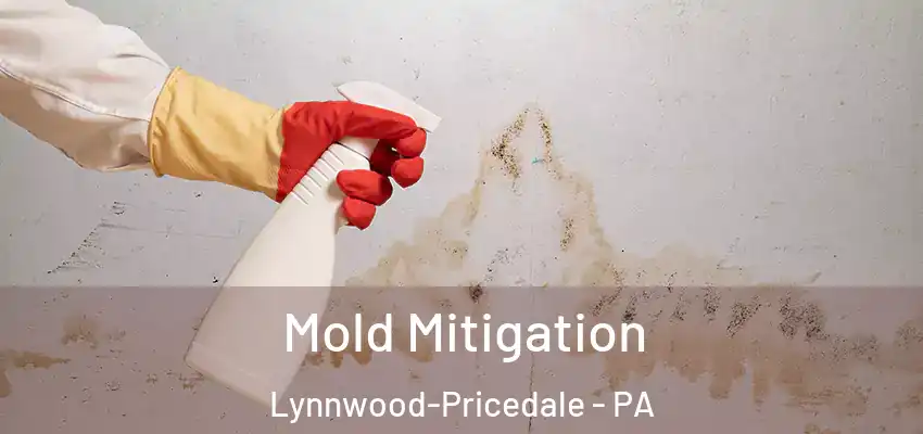 Mold Mitigation Lynnwood-Pricedale - PA
