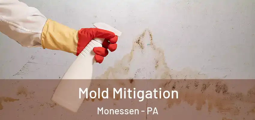  Mold Mitigation Monessen - PA