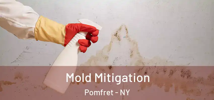  Mold Mitigation Pomfret - NY