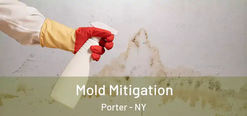  Mold Mitigation Porter - NY