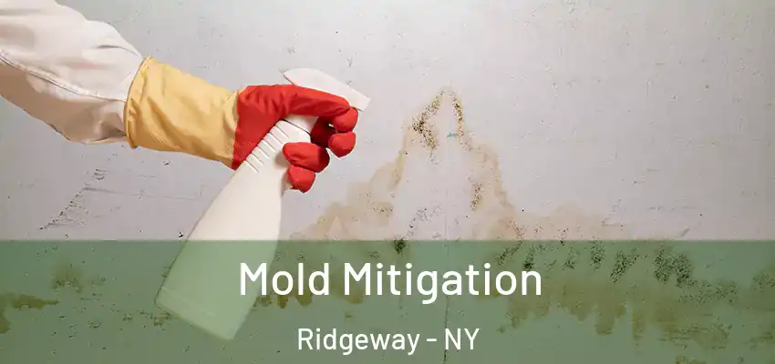  Mold Mitigation Ridgeway - NY