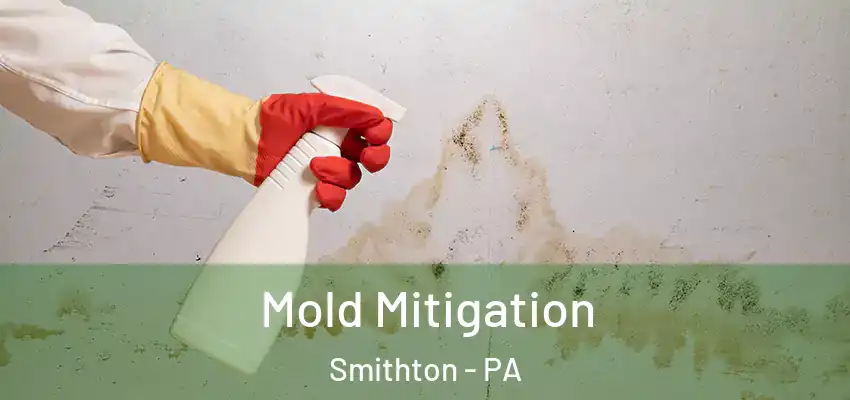  Mold Mitigation Smithton - PA