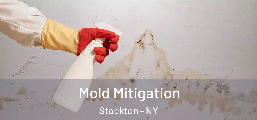  Mold Mitigation Stockton - NY
