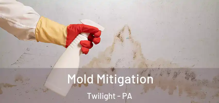  Mold Mitigation Twilight - PA
