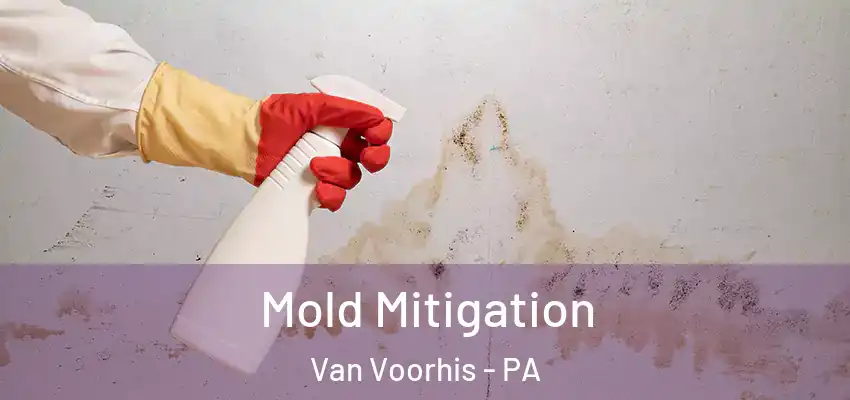  Mold Mitigation Van Voorhis - PA
