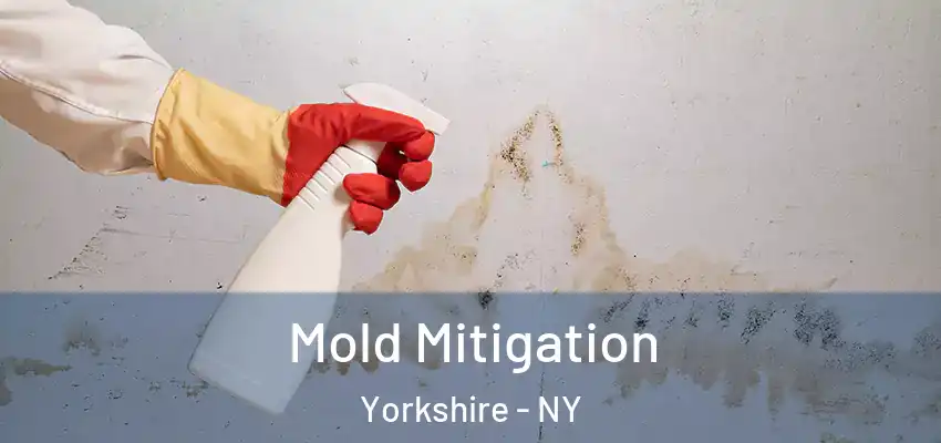  Mold Mitigation Yorkshire - NY