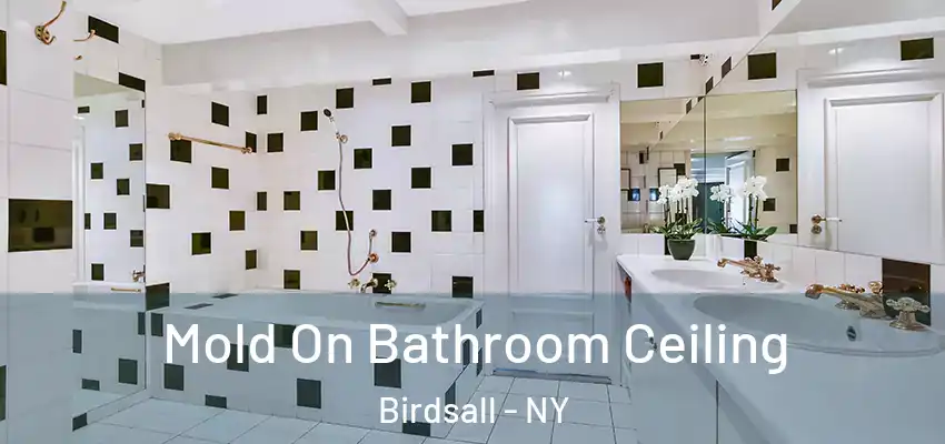  Mold On Bathroom Ceiling Birdsall - NY