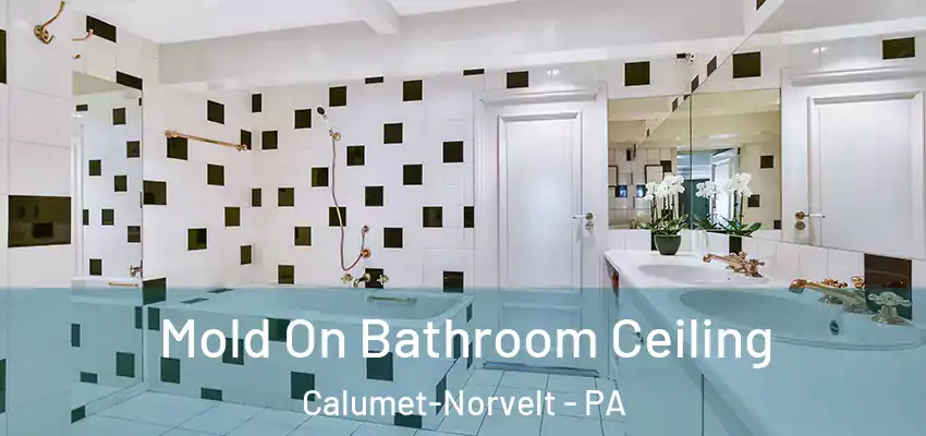  Mold On Bathroom Ceiling Calumet-Norvelt - PA