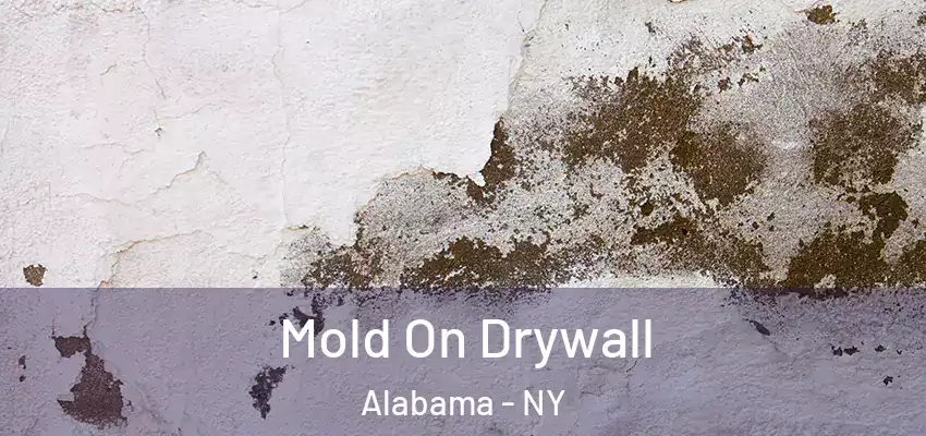  Mold On Drywall Alabama - NY